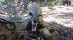 photo thumbnail #5