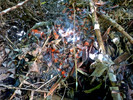 photo thumbnail #15