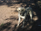 photo thumbnail #9