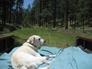 photo thumbnail #2