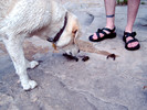 photo thumbnail #5
