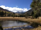photo thumbnail #1
