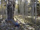 photo thumbnail #3