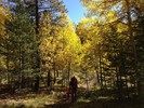 photo thumbnail #3