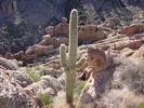 photo thumbnail #4