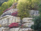 photo thumbnail #4