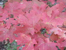 photo thumbnail #14
