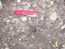 photo thumbnail #5