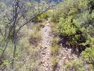 photo thumbnail #12
