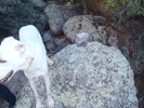 photo thumbnail #13