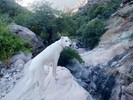 photo thumbnail #15