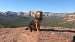 photo thumbnail #13