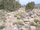 photo thumbnail #9