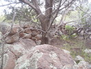 photo thumbnail #10