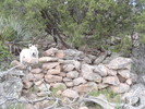 photo thumbnail #12