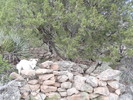 photo thumbnail #13