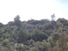 photo thumbnail #15