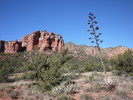 photo thumbnail #1