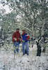 photo thumbnail #2