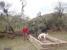 photo thumbnail #6