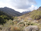 photo thumbnail #13