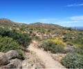 photo thumbnail #6
