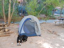 photo thumbnail #15