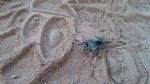photo thumbnail #5