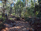 photo thumbnail #1