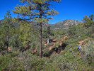 photo thumbnail #9