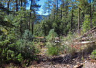 photo thumbnail #13