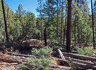 photo thumbnail #15