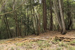 photo thumbnail #4