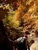 photo thumbnail #15