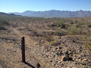 photo thumbnail #4