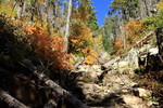 photo thumbnail #3