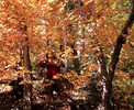 photo thumbnail #7