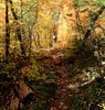 photo thumbnail #12