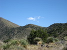 photo thumbnail #8