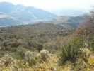 photo thumbnail #13