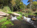 photo thumbnail #1