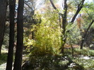 photo thumbnail #5