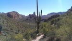 photo thumbnail #3