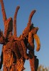 photo thumbnail #8