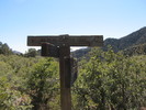 photo thumbnail #10