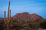 photo thumbnail #3
