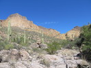 photo thumbnail #6