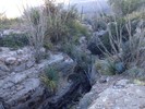 photo thumbnail #3