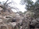 photo thumbnail #7