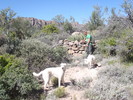 photo thumbnail #12